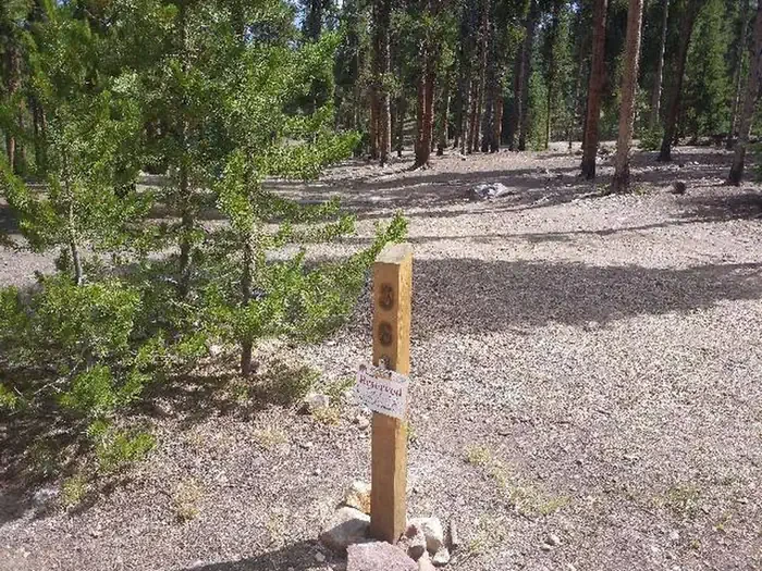 036