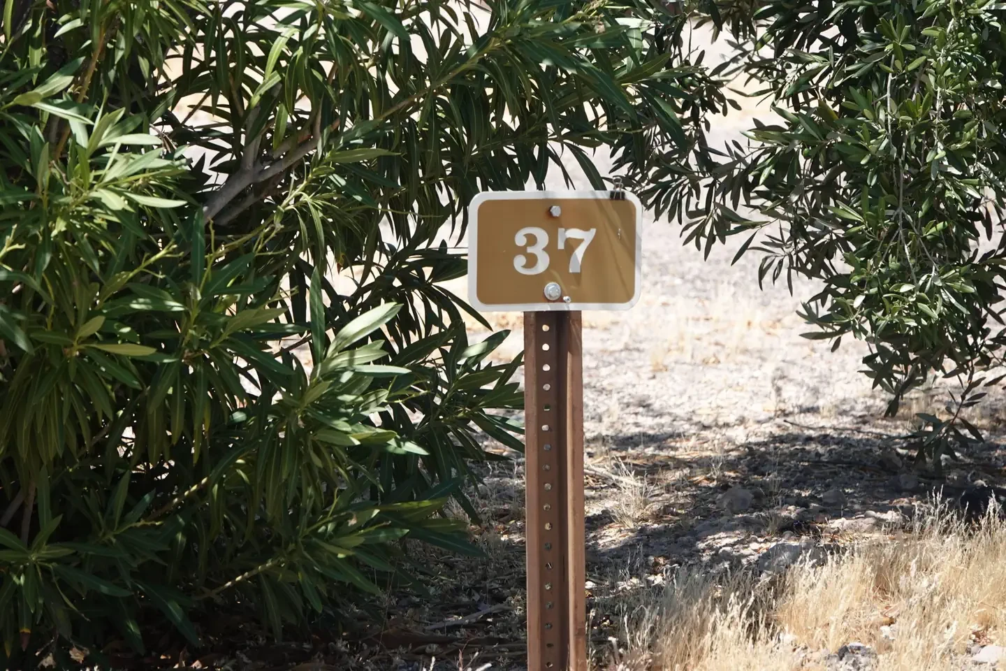 Site 37