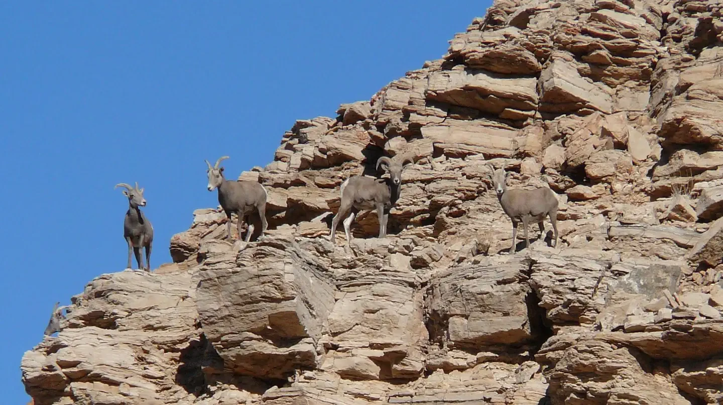 Death Valley National Park