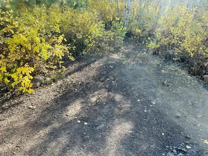 A14