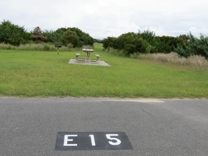 E015