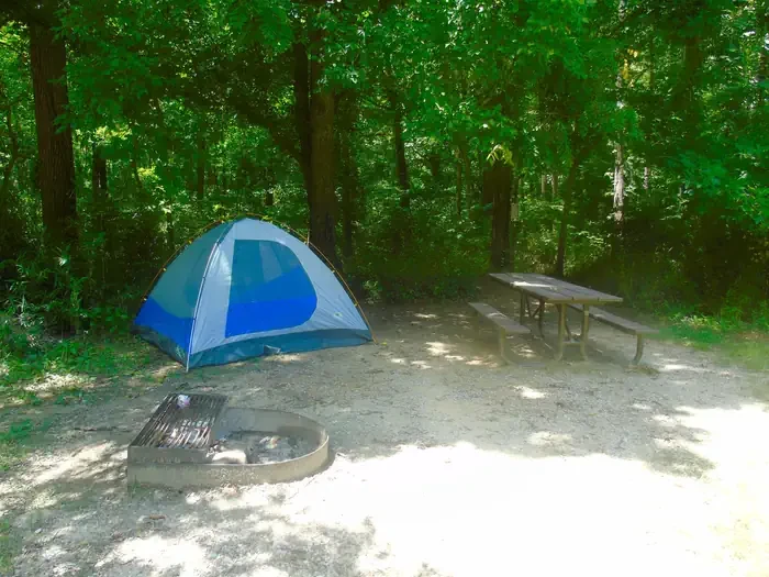 25 - Tent Site