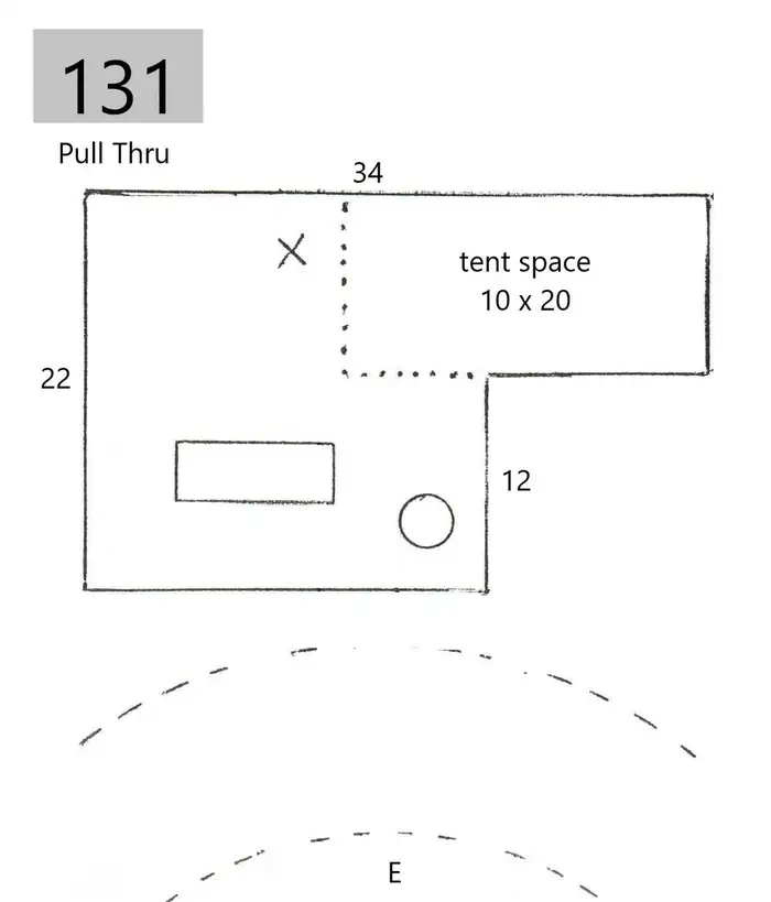 131