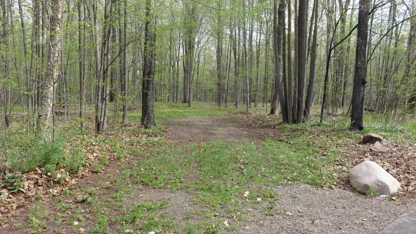 S31
