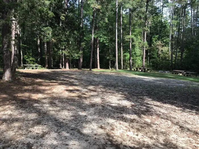 Group Site 10