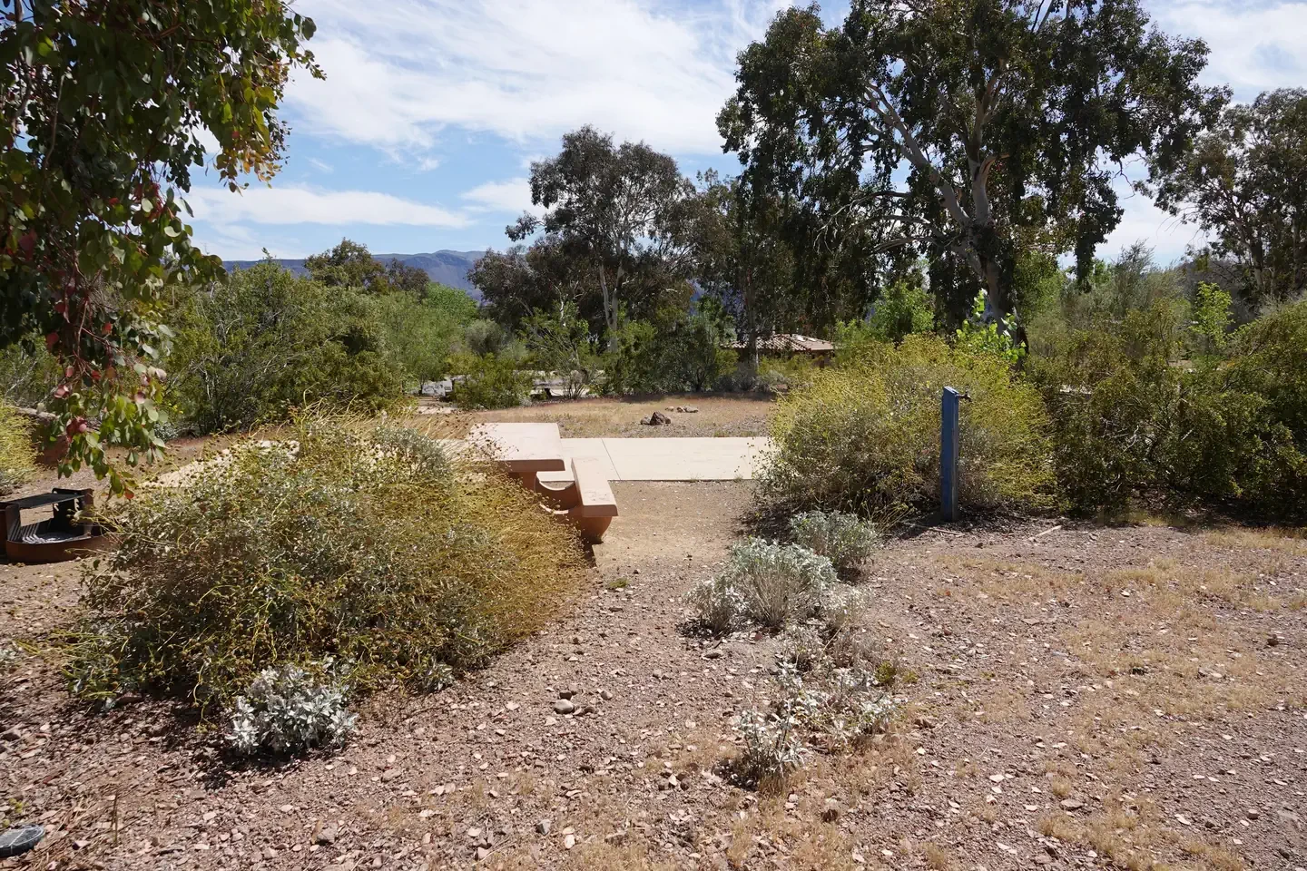 Site 4