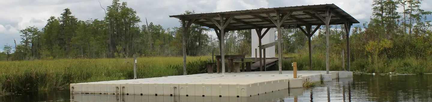 Cedar Hammock