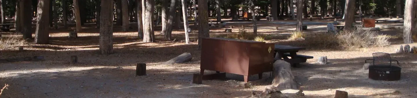 067