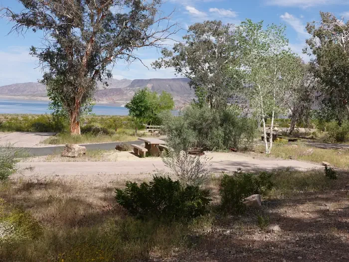 Site 80
