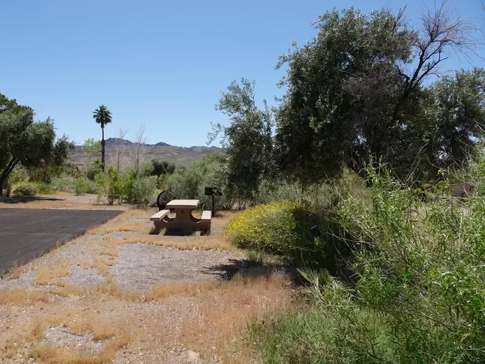 Site 65