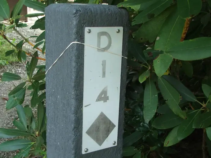 D14