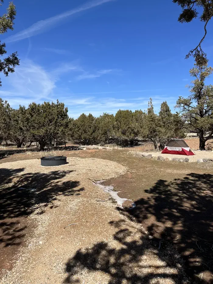 Group  Site 1