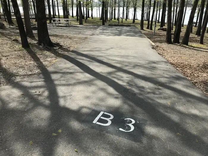 B03