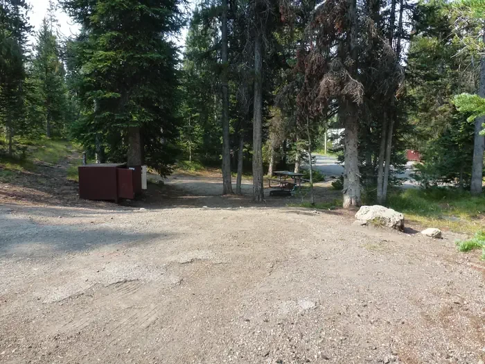 Lewis Lake site #61