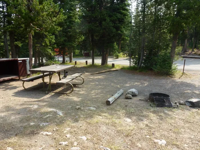 Lewis Lake site #35