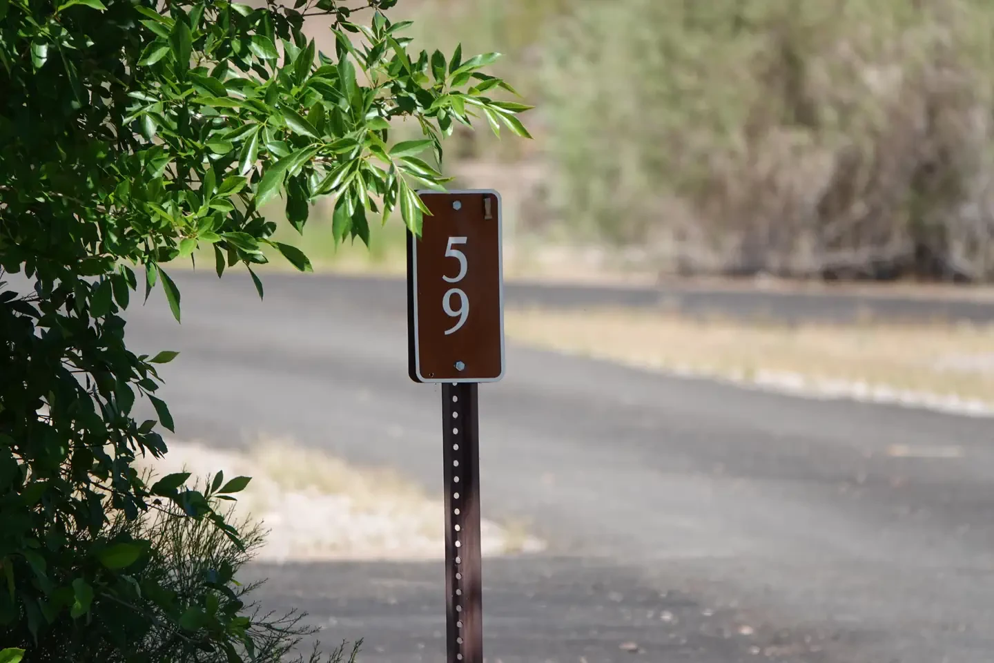 Site 59