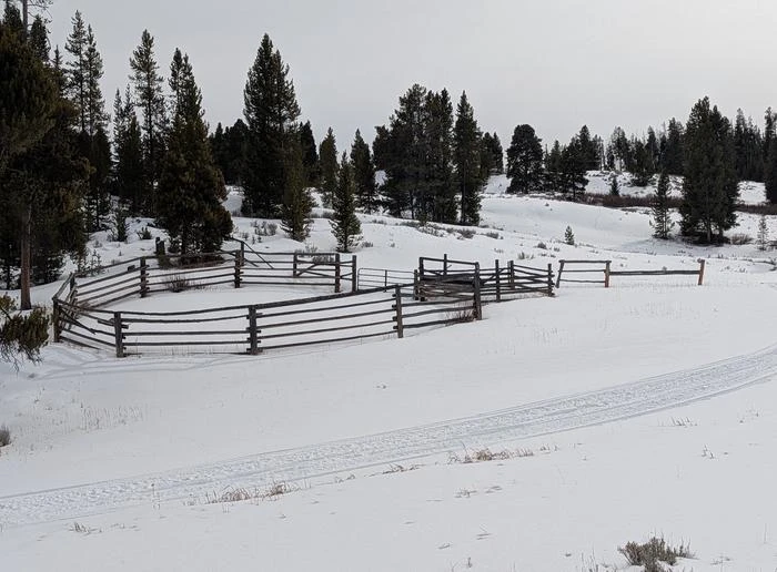 Wapiti Cabin
