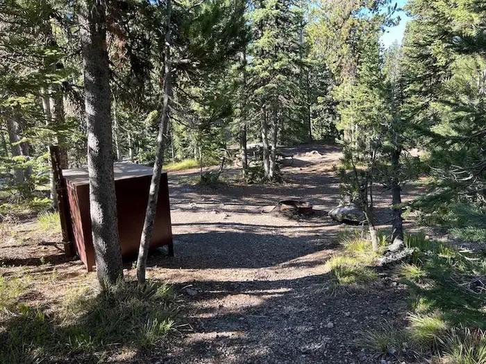 Lewis Lake site #83