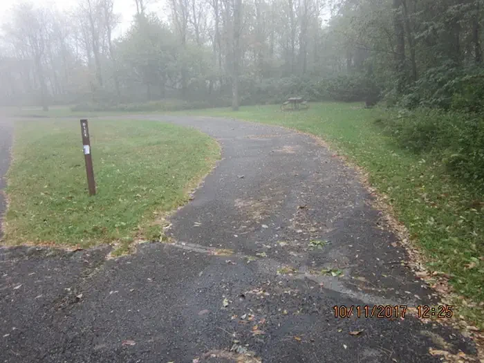 D129