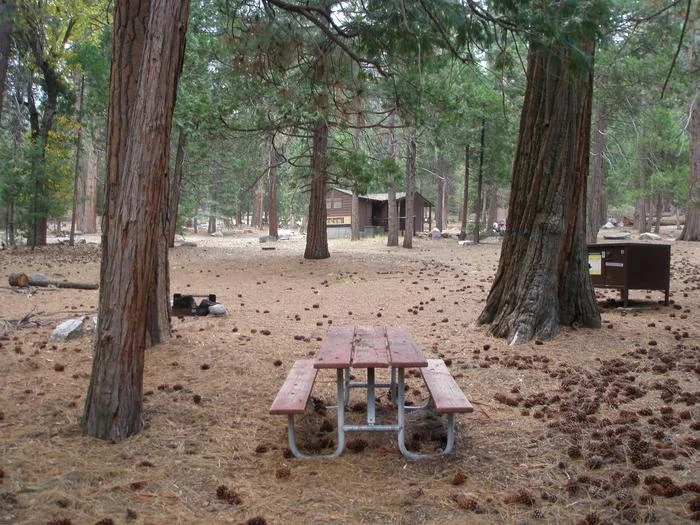 Site: 55