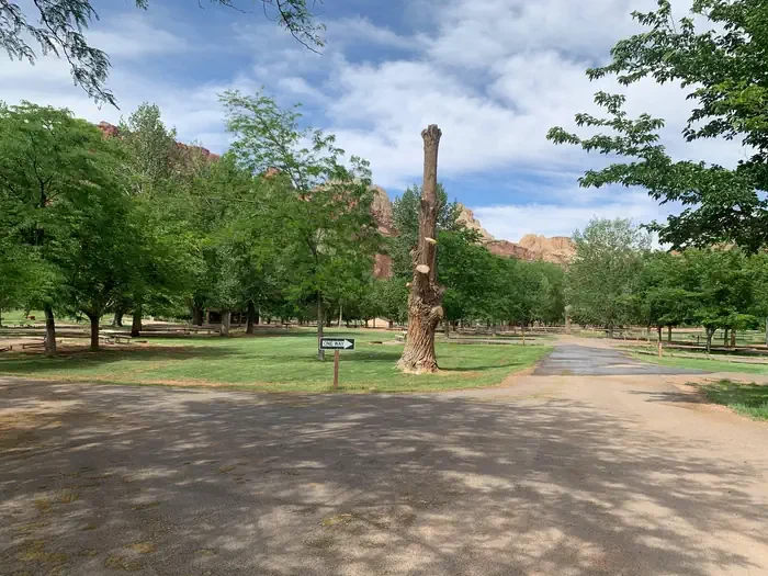 Fruita Campground