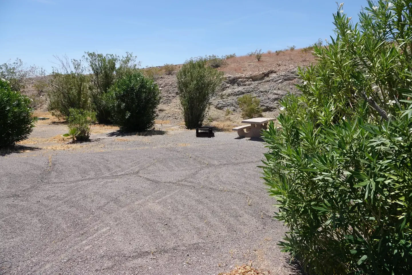 Site 11