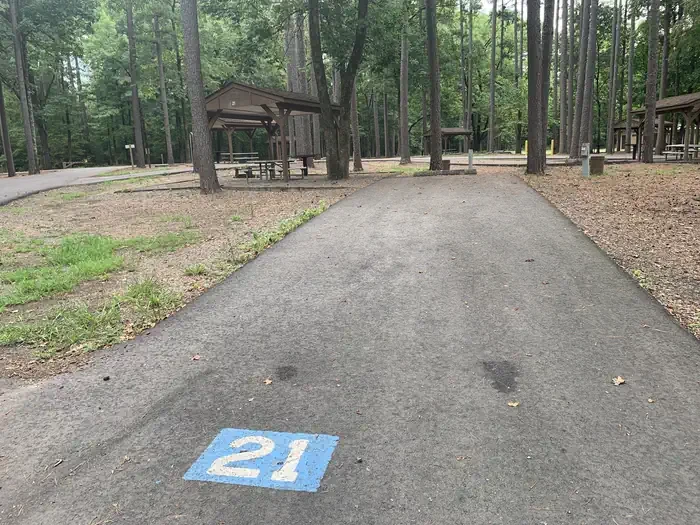 21