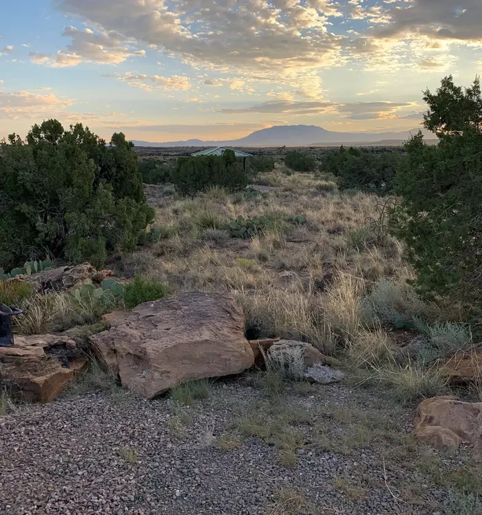 Site 2