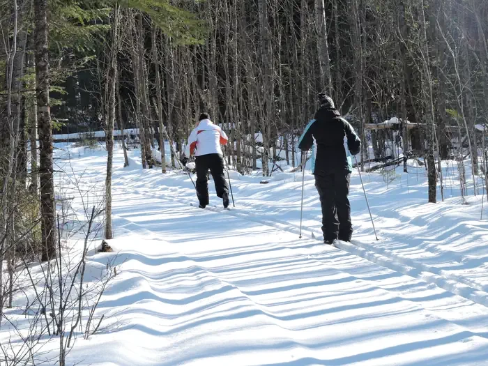 Cross-Country Ski Rental - Adult
