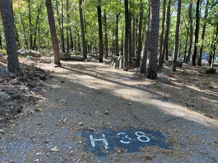 H38