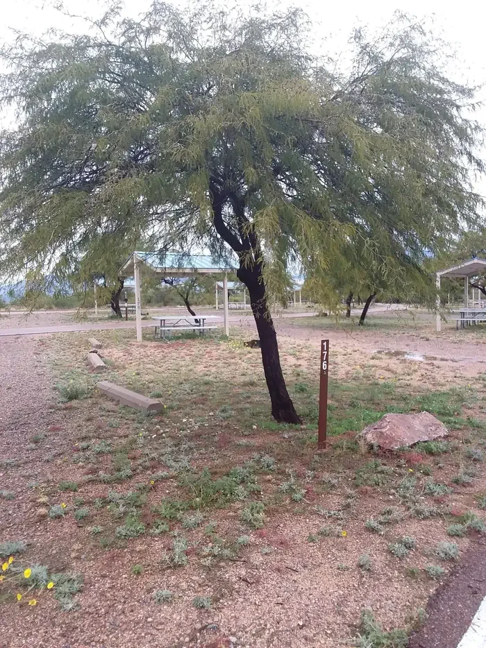 176