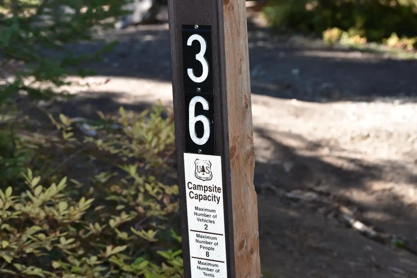 36