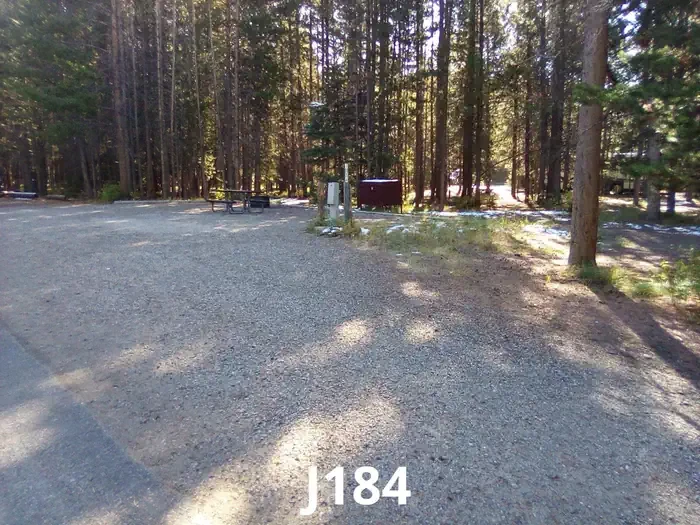 184