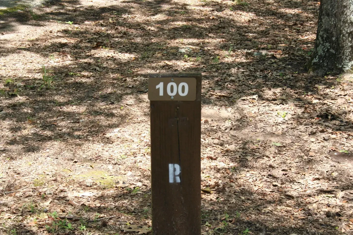 100