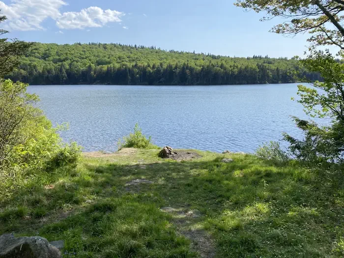 Grout Pond Campground