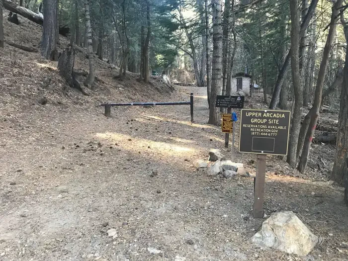 Upper Arcadia