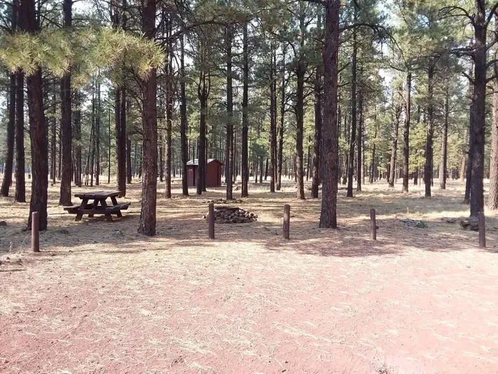 Benny Creek Group Area
