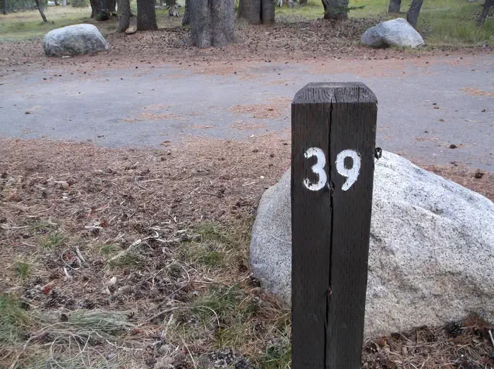 039