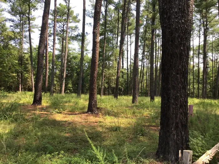 Poulous Group Campground