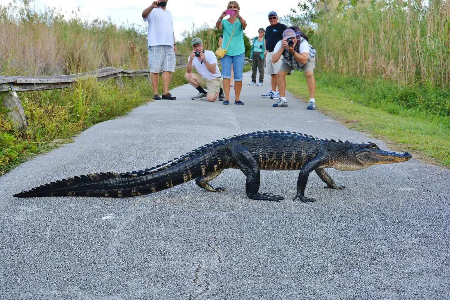 Everglades National Park