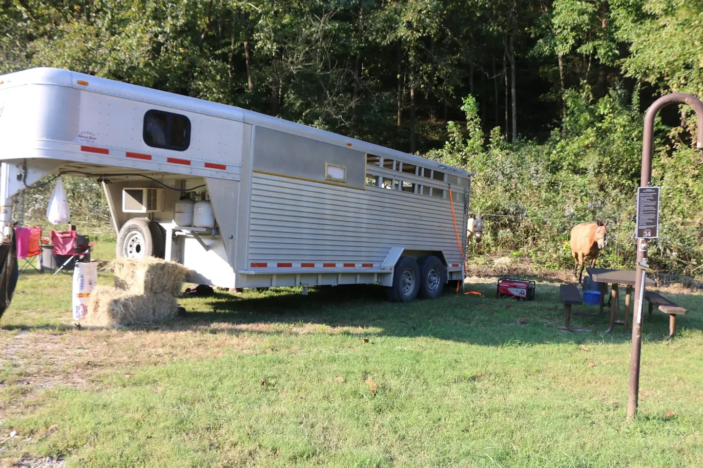 35 - Horse Site