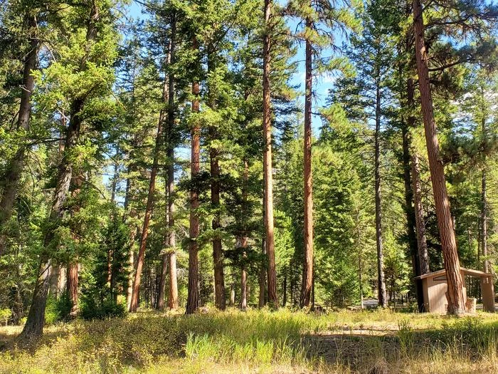 Alta Campground