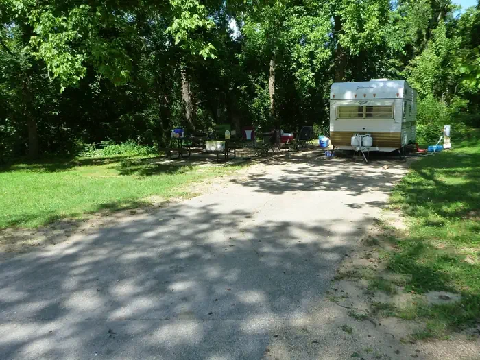 D63