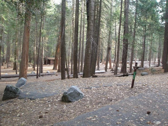 Site: 104