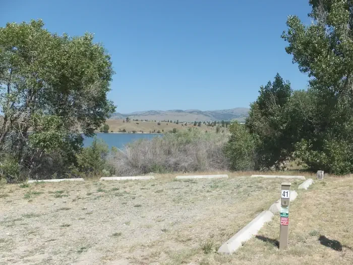 41