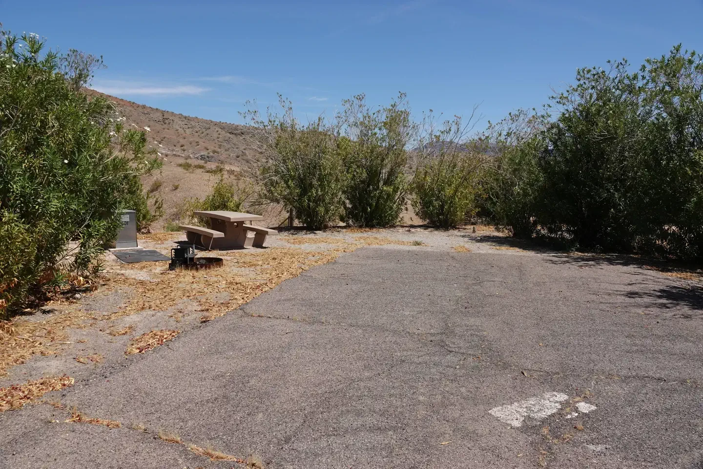 Site 44