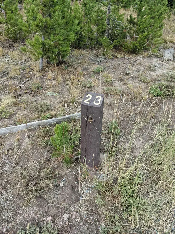 023