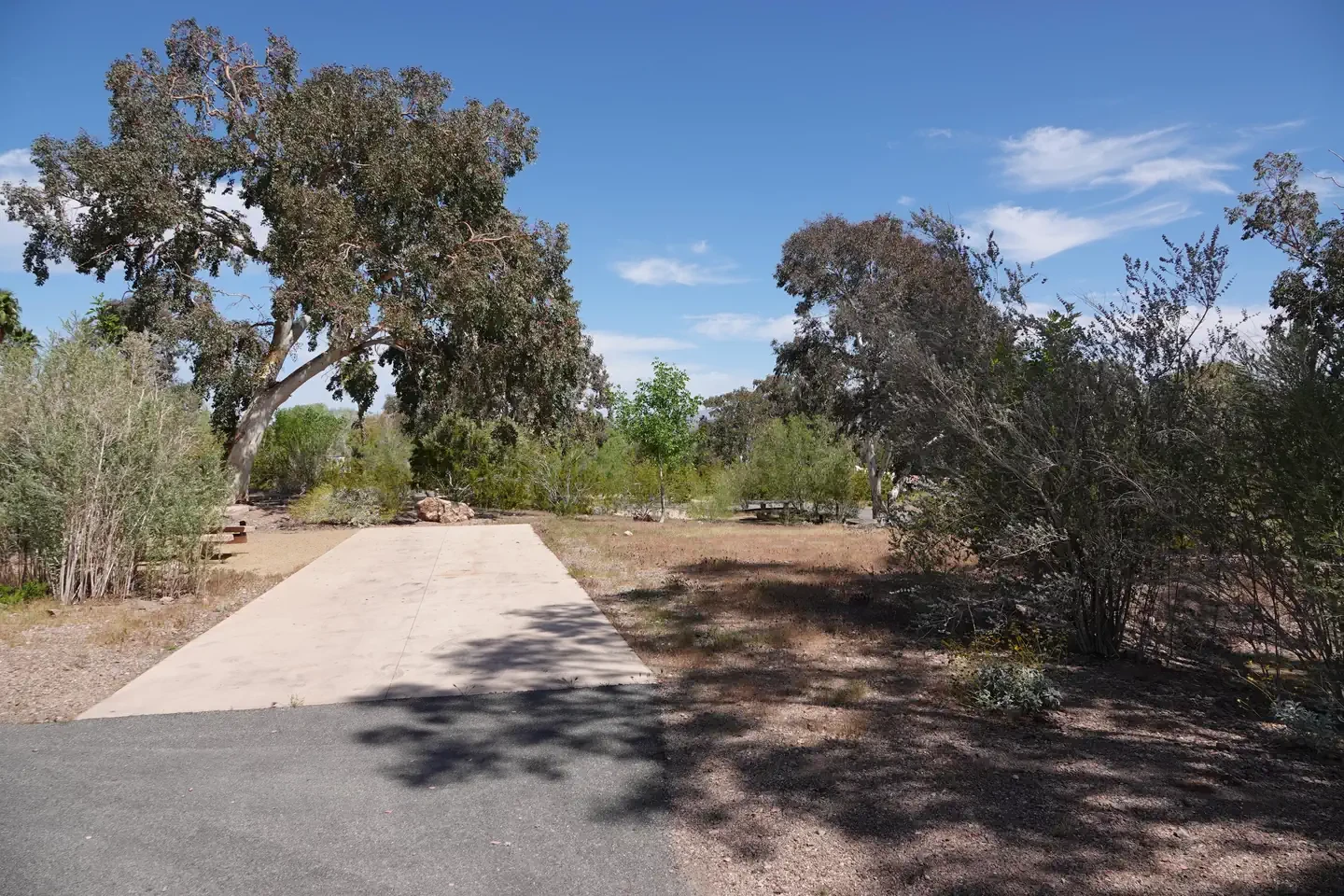 Site 6