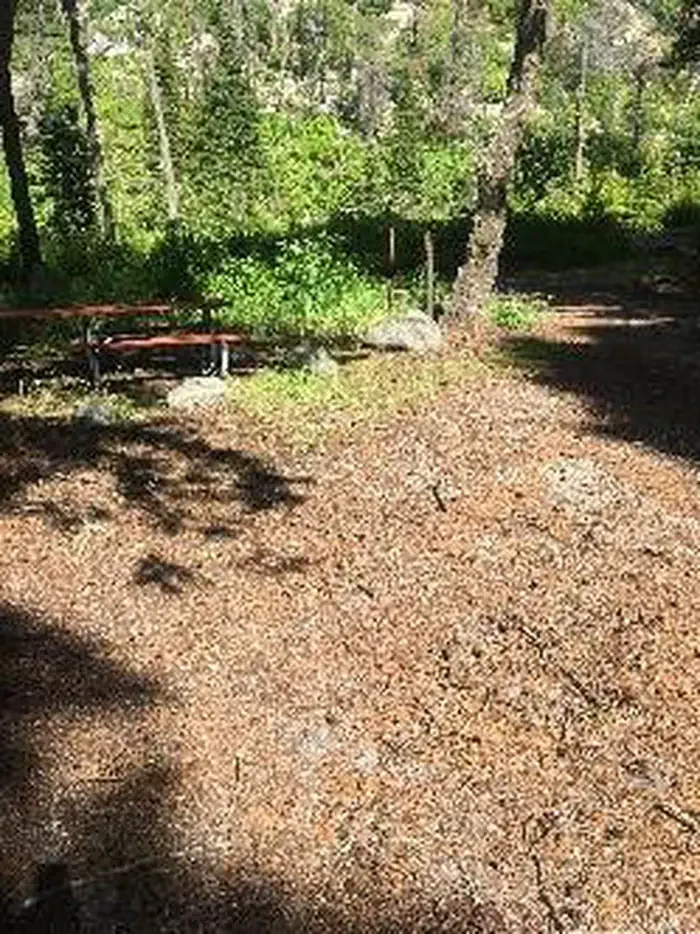 6 Hiker/Bicyclist Shared