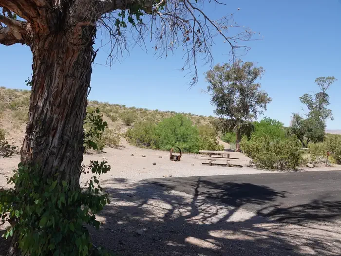 Site 84